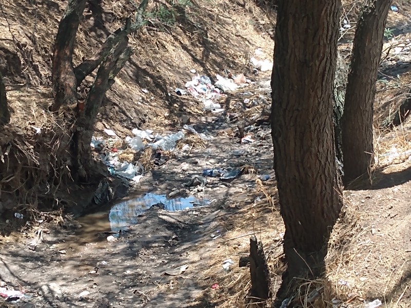 Piden ciudadanos limpiar el Arroyo La Tinaja.