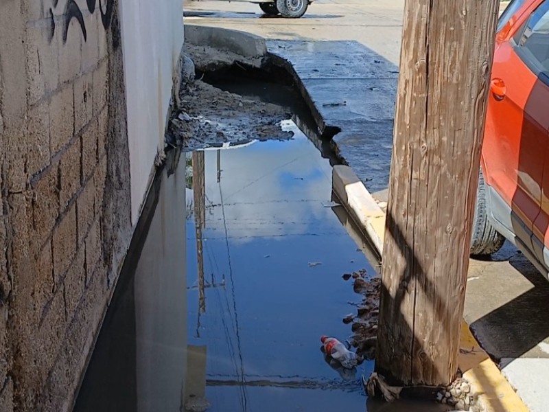 Piden ciudadanos se retomen obras en banqueta de calle Margarito Sández