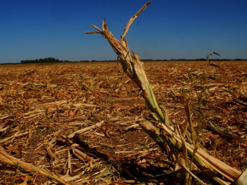 Piden crear proyecto que ayude al campo tras sequía