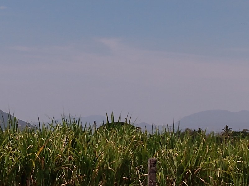 Piden devolver seguro de siniestralidad para el campo