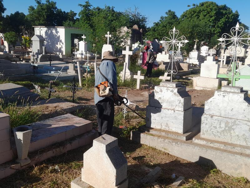 Si visitas a tus fieles difuntos no dejes flores con agua