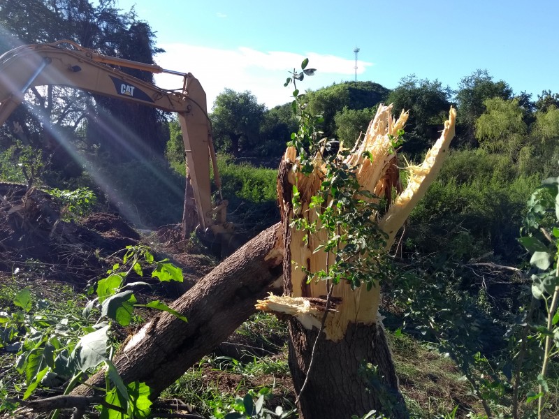 Piden freno a brutal ecocidio en Río Fuerte