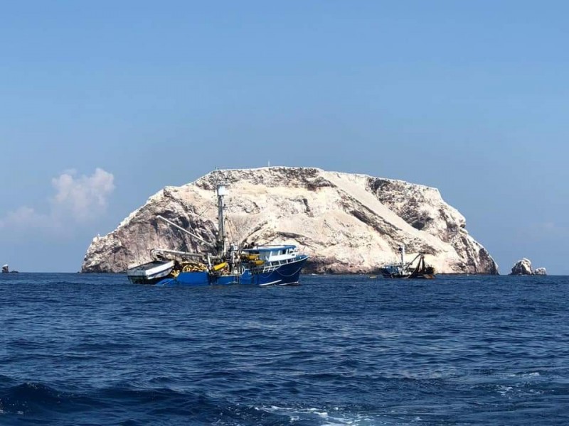 Piden freno a pesca comercial en zona natural protegida