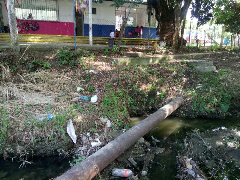 Piden fumigaciones en zanja cercana a kinder