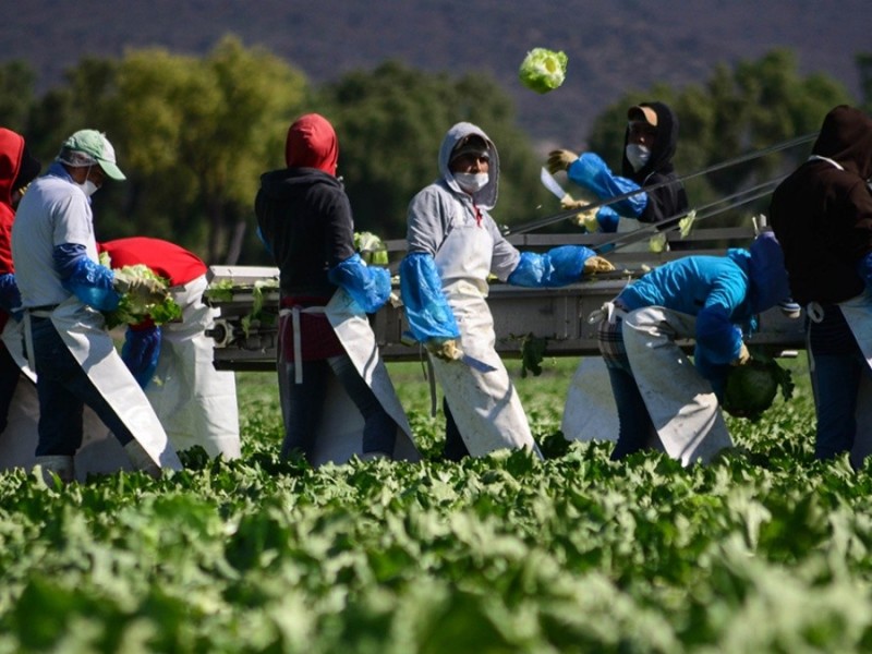 Piden incrementar el recurso en agricultura y desarrollo rural