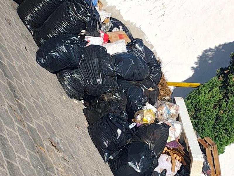Piden intervención para evitar amontonamiento de basura en colonia México