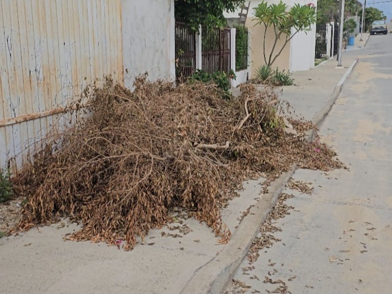 Solicitan servicio de recolección de basura