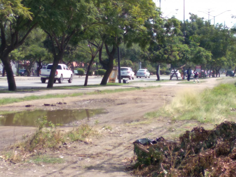 Piden leoneses pavimentación en la Independencia