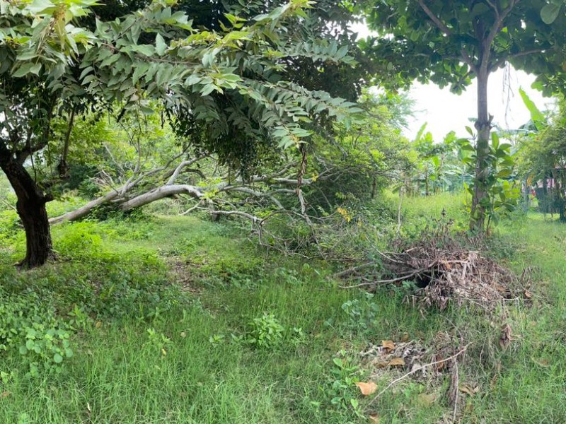 Piden limpieza en la Miguel Hidalgo de Tuxpan