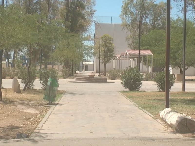 Piden mantener limpio el bosque de la ciudad