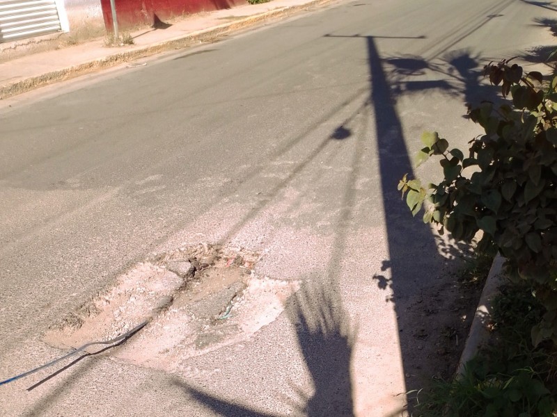  Piden mantenimiento a la Avenida Las Palmas