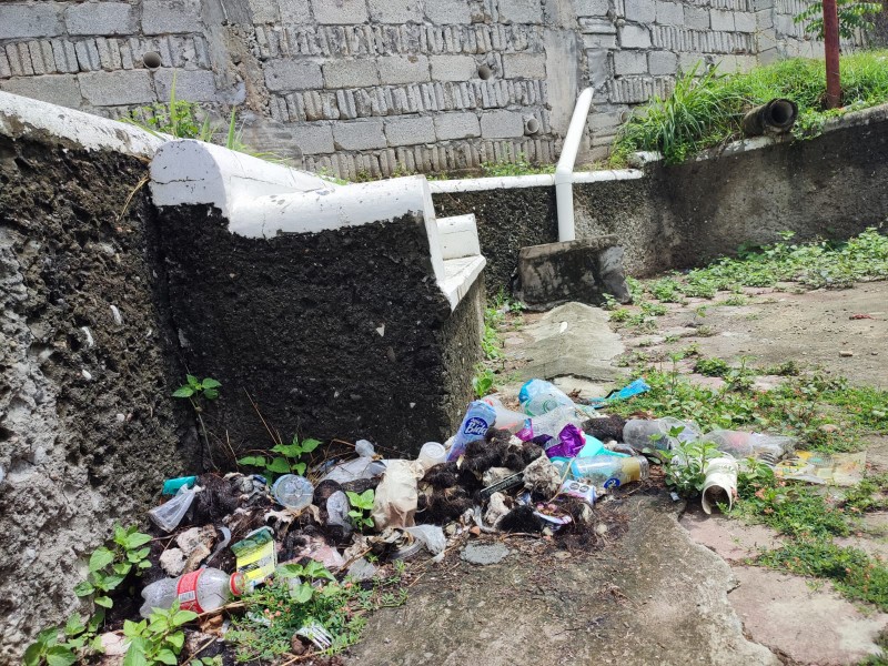 Piden mantenimiento del Cerro San Fernando