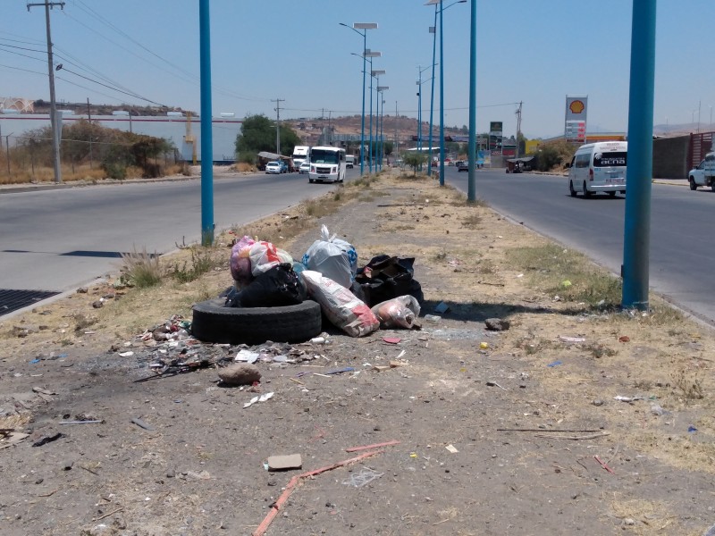 Piden mantenimiento en camellón de la carretera Silao San Felipe