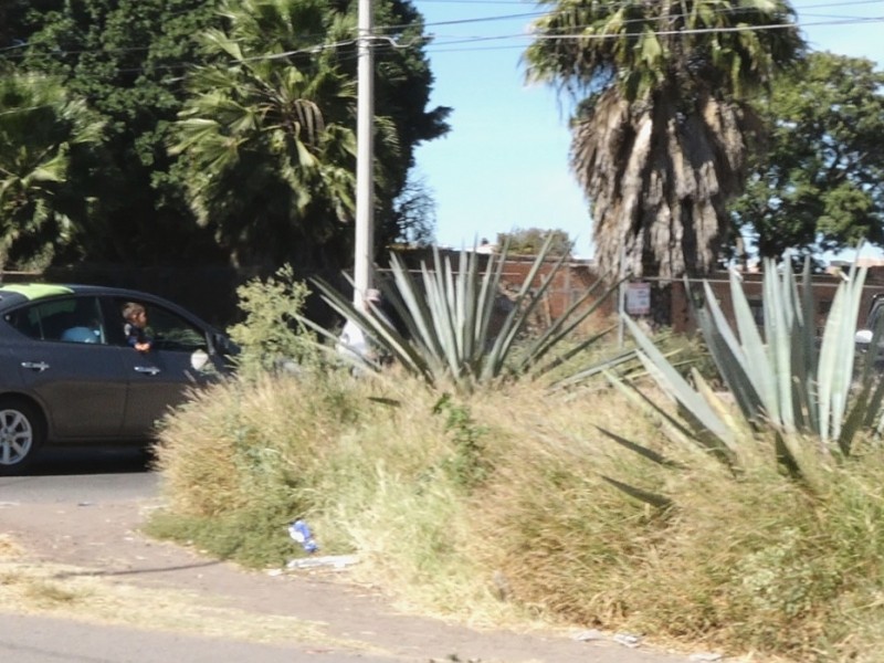 Piden mantenimiento en glorieta y camellones