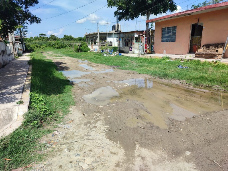 Piden mantenimiento integral de calles en Las Delicias