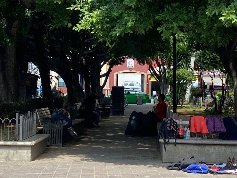 Piden más seguridad en jardín de San Francisco