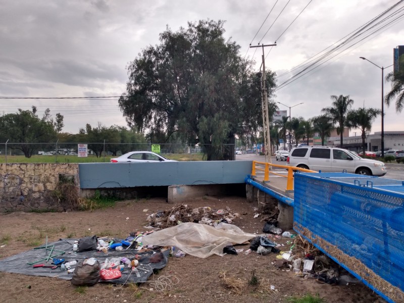 Piden mejorar vista de bulevares principales en León