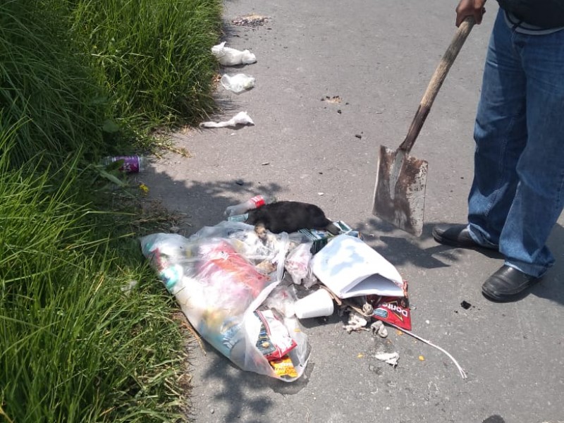 Piden multa a quienes arrojen basura en calles de Chapultepec