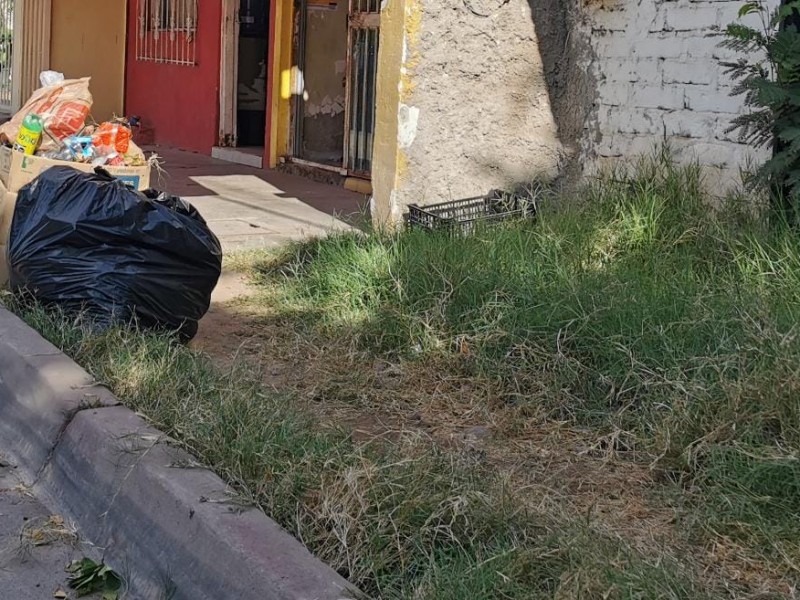 Piden paciencia, Ayuntamiento se compromete a resolver crisis de basura