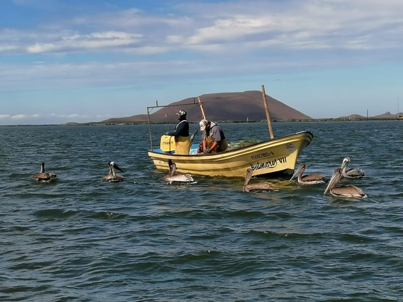 Piden pescadores mayor presupuesto para que regresen apoyos federales