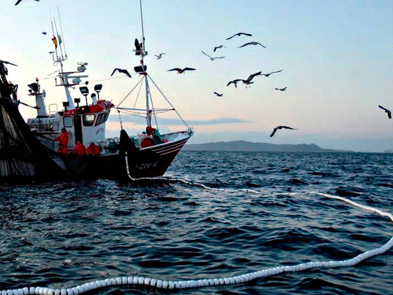 Piden pescadores no afectar la pesca comercial
