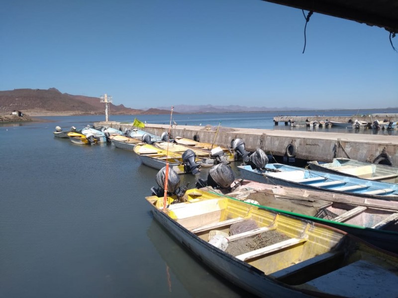 Piden pescadores ser incluidos en apoyos federales