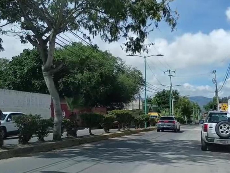 Piden pintar nuevos topes de la Avenida Las Palmas