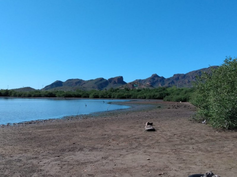 Piden protección de Manglar de Río Escondido