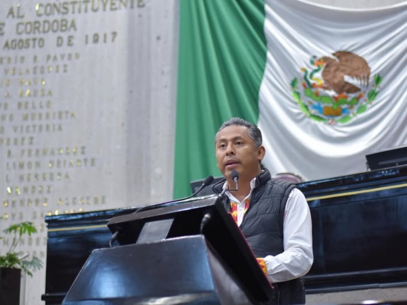 Piden reforzar inspección sanitaria ante casos de gusano barrenador en Veracruz
