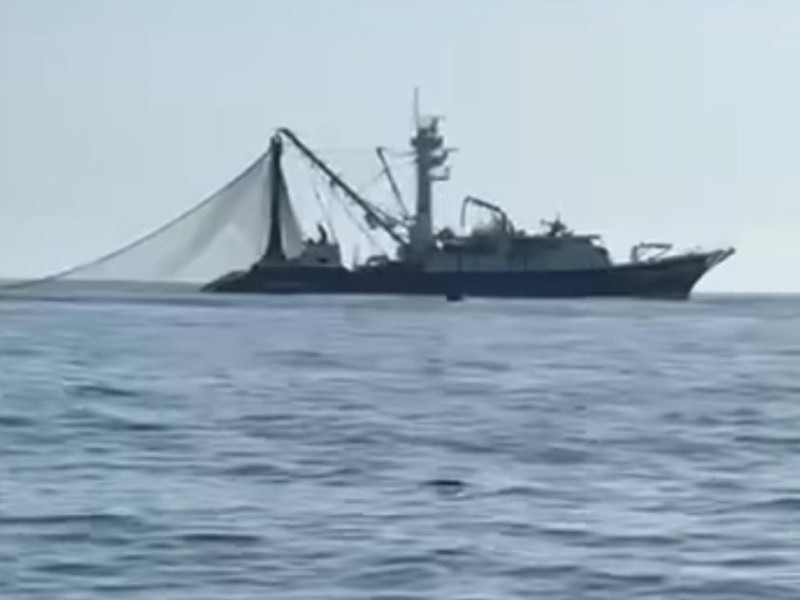 Piden regidora modificar Ley de Pesca y Acuacultura en Baja California Sur