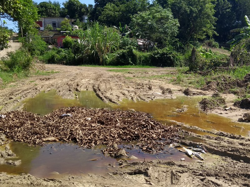 Piden rehabilitación de calles