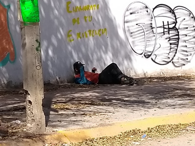 Piden rehabilitación del Parque del Árbol