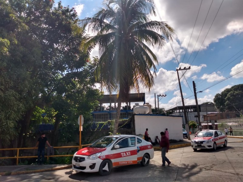 Piden retirar palmera de zona de taxis