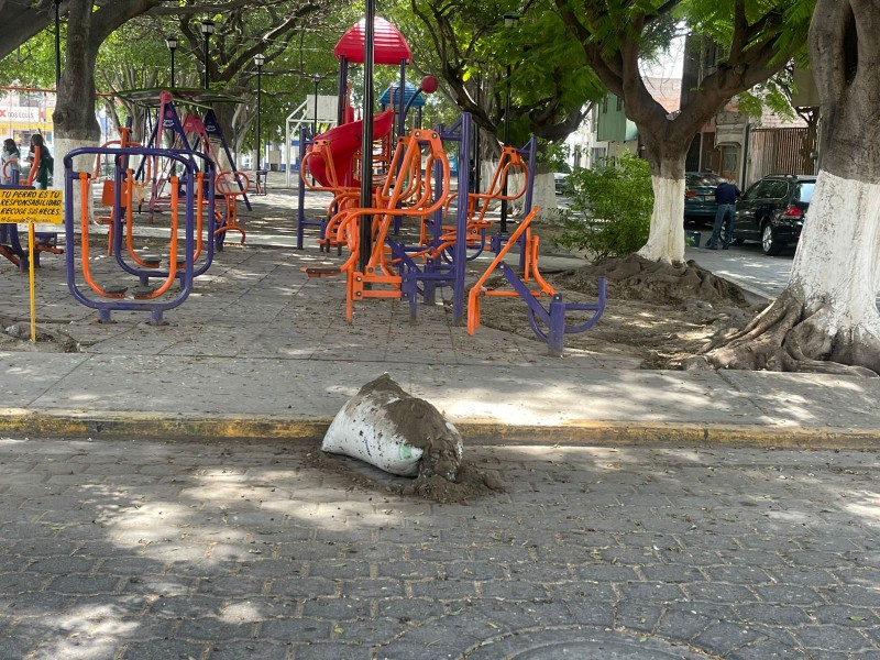 Piden sanción a quien contamina el parque Benito Juárez
