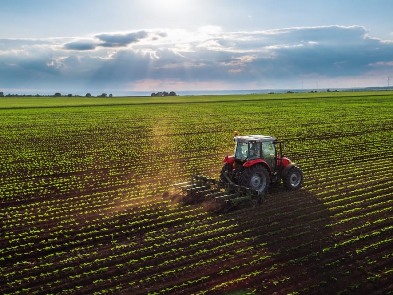 Piden se aumente el presupuesto al sector agropecuario