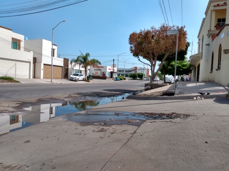 Piden solución definitiva a brotes de aguas negras