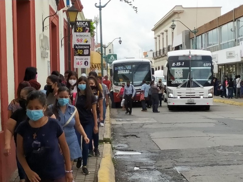 Piden transportistas se emita credencial especial para otorgar descuentos