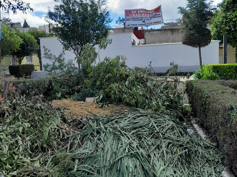 Piden vecinos de Toluca, contenedores de basura en jardines
