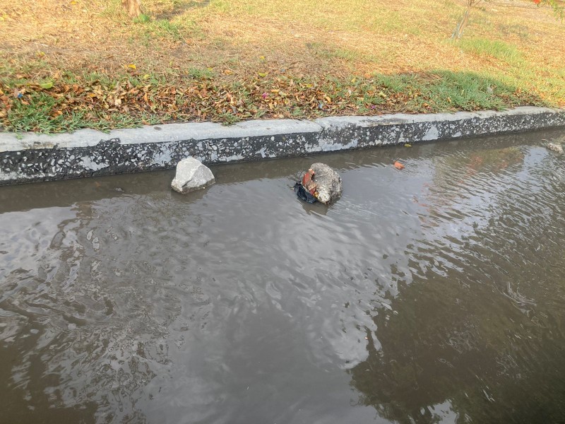 Piedras en Vía Puebla un peligro para vecinos y transeúntes