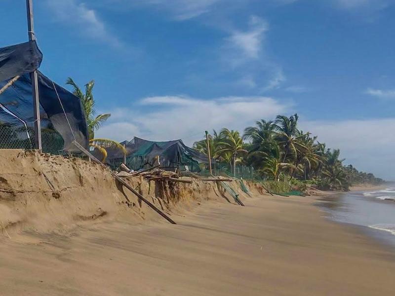 Pierde campamento tortuguero Ayotlcalli ocho metros de corrales en Playa Blanca