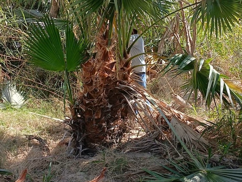 Plan de manejo del Estero pretende revertir el daño al humedal