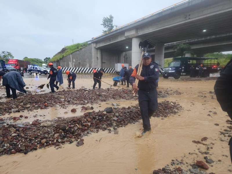 Plan Tajín activo en norte y centro de Veracruz