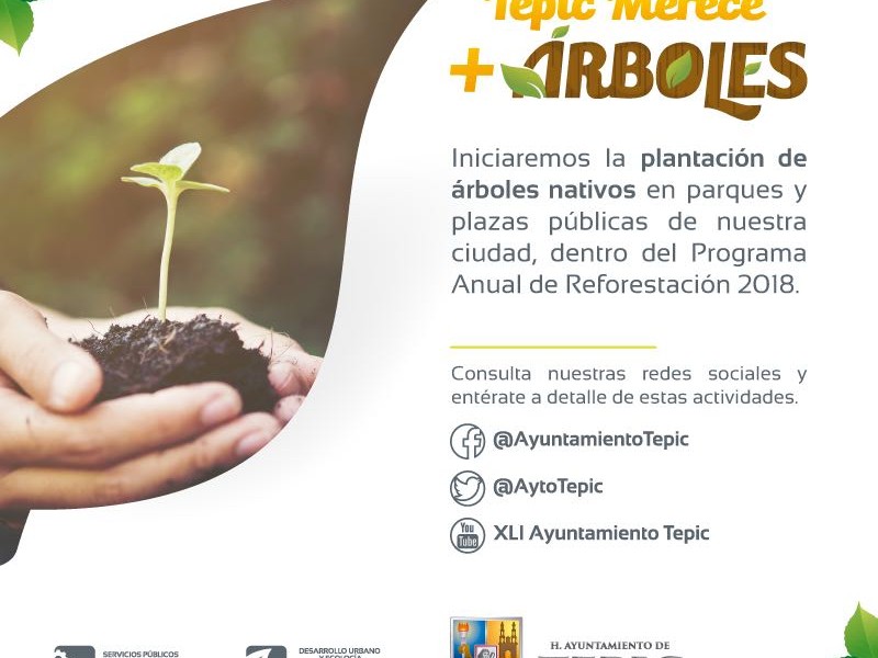 Planean reforestación urbana en Tepic