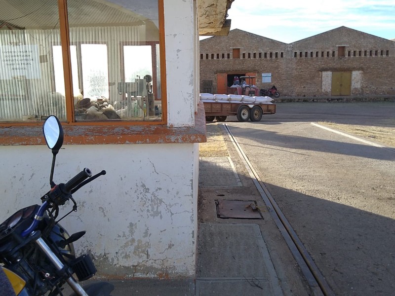 Planta comercializadora de frijol en Guadalupe Victoria, un “elefante blanco”