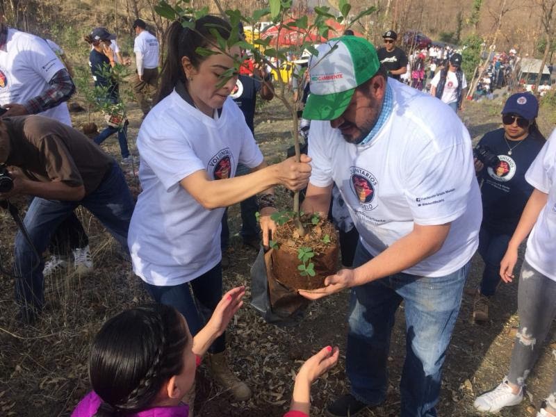 Plantan 1 mil 500 árboles en la Bufa