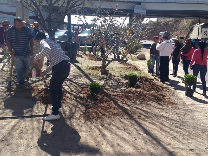 Plantan árboles vendedores ambulantes en Nogales.