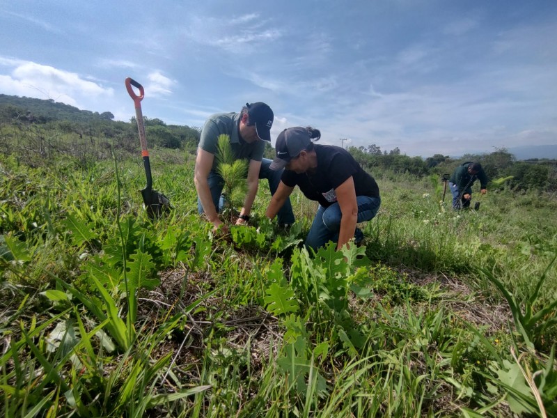 Plantan más de 3 mil árboles en San Antonio Coapa