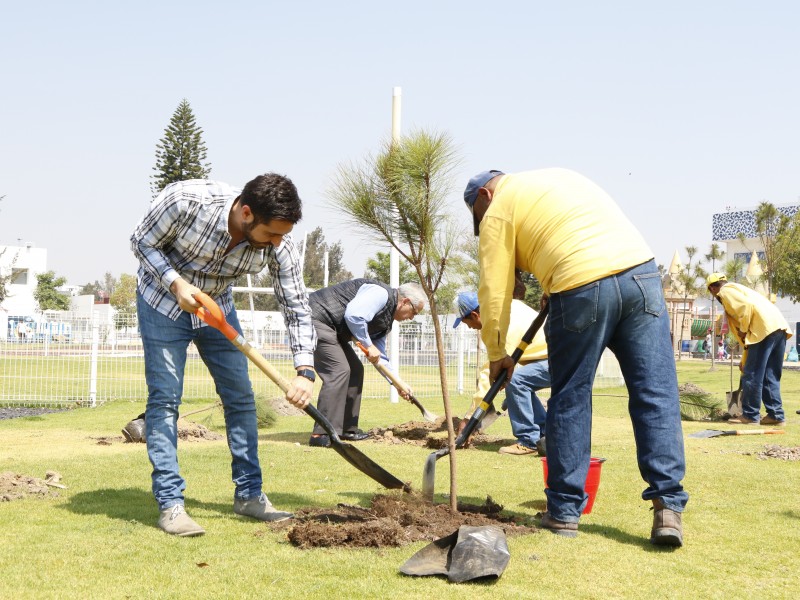 Plantan mil 300 árboles en zona metropolitana