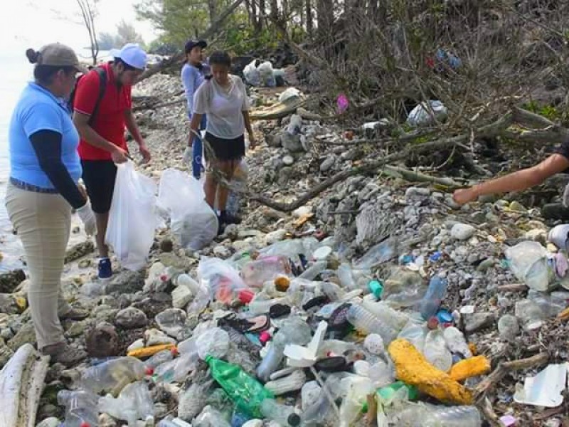 Plástico, lo que más llega a Lobos-Tuxpan