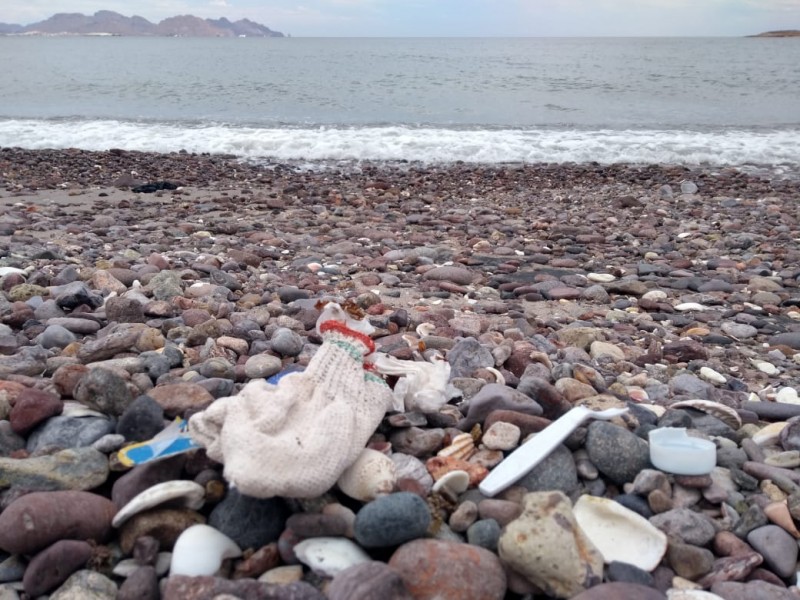 Plásticos, principal contaminante en el mar